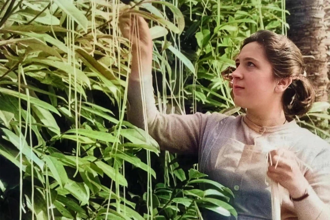 Cú lừa 'Cá tháng Tư' chấn động trong lịch sử