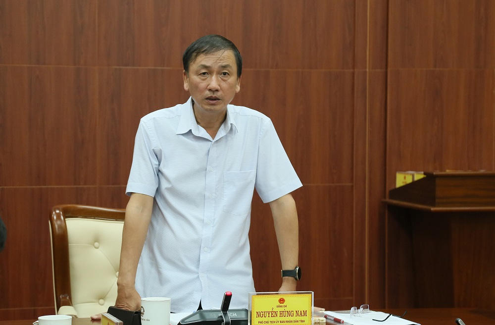 Phó Chủ tịch UBND tỉnh Nguyễn Hùng Nam phát biểu kết cuộc họp.