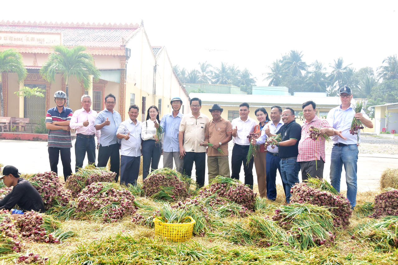 Sản phẩm hành tím của HTX Lộc Tím được bao tiêu, góp phần hình thành chuỗi liên kết sản xuất - tiêu thụ ổn định cho nông dân địa phương (Chủ tịch UBND phường Hiệp Thành, đứng thứ 7 từ trái sang).