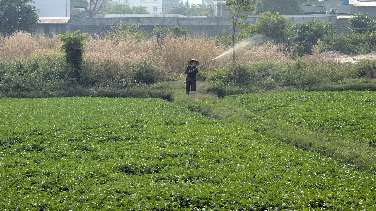 TP Hồ Chí Minh tiến tới xóa bỏ hoàn toàn tình trạng hộ nghèo theo chuẩn của Thành phố.