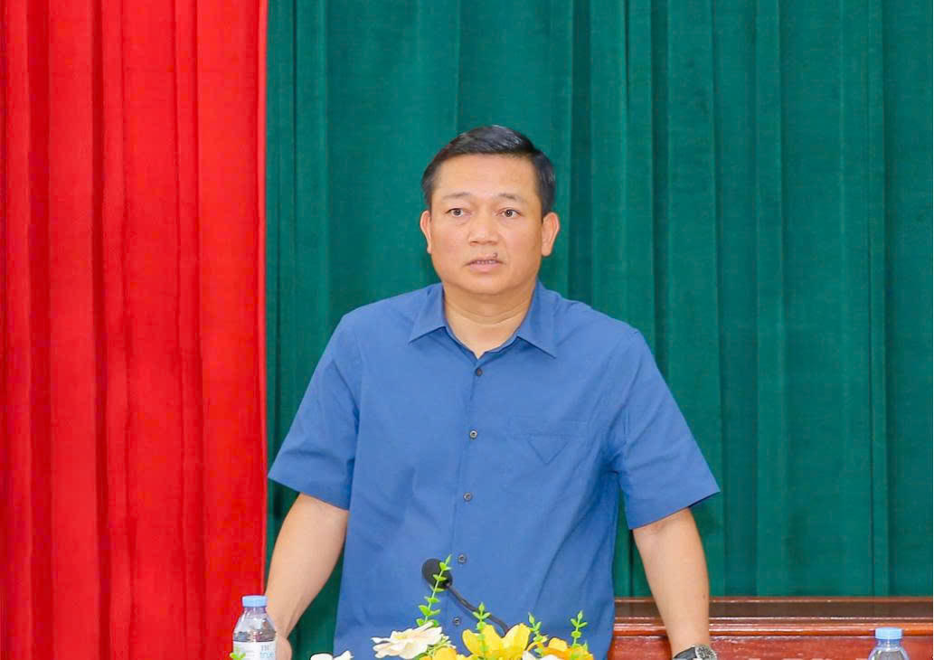 Ông Nguyễn Cao Sơn, Phó Chủ tịch UBND tỉnh phát biểu tại hội nghị.