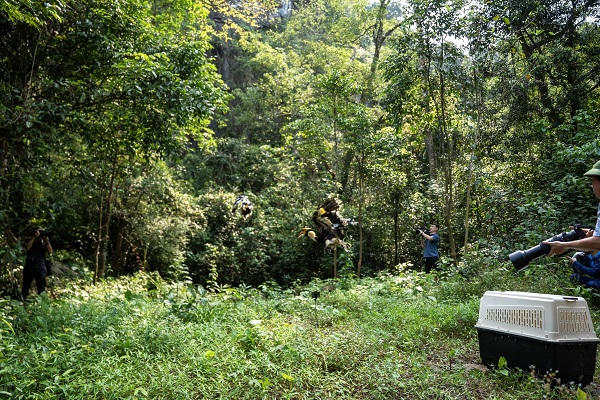 Tái thả nhiều động vật hoang dã về vùng lõi Phong Nha - Kẻ Bàng