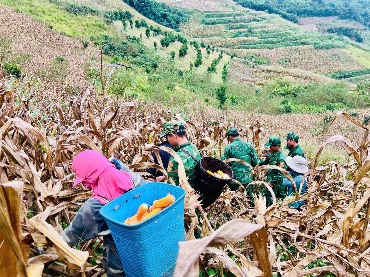 Giữ biên từ gốc – Kỳ cuối: Phát triển kinh tế – gốc rễ bền vững của thế trận lòng dân