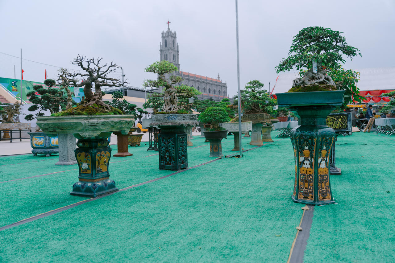 Triển lãm sinh vật cảnh Hoàng Xá, xã Tu Vũ lần thứ nhất năm 2026 (diễn ra từ ngày 29/03 - 05/04)