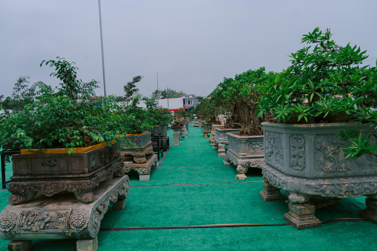 Phú Thọ: Dư âm đọng lại sau triển lãm sinh vật cảnh Hoàng Xá - Tu Vũ lần thứ I