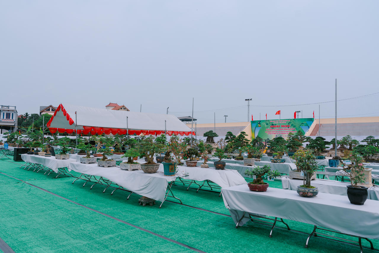 Triển lãm đón nhận nhiều tác phẩm sinh vật cảnh đặc sắc của các nghệ nhân và hội viên sinh vật cảnh trên địa bàn xã, cũng như các địa phương lân cận.