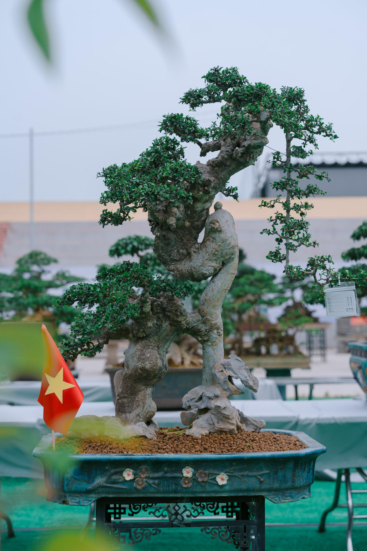 Phú Thọ: Dư âm đọng lại sau triển lãm sinh vật cảnh Hoàng Xá - Tu Vũ lần thứ I