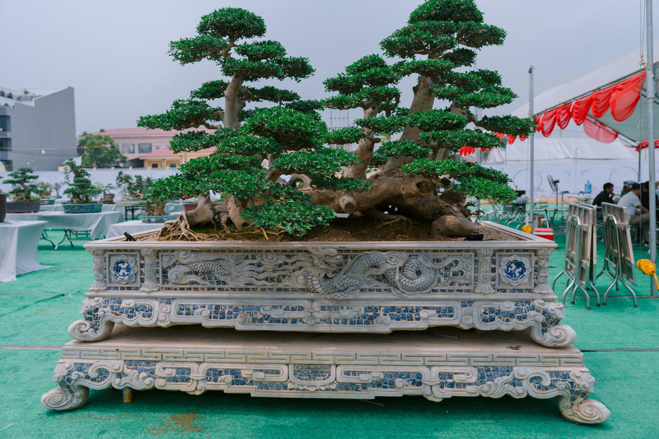 Mỗi tác phẩm mang trong mình một câu chuyện – câu chuyện của thời gian, của triết lý nhân sinh, sự kiên trì và của tâm huyết người uốn nắn, tạo thế.