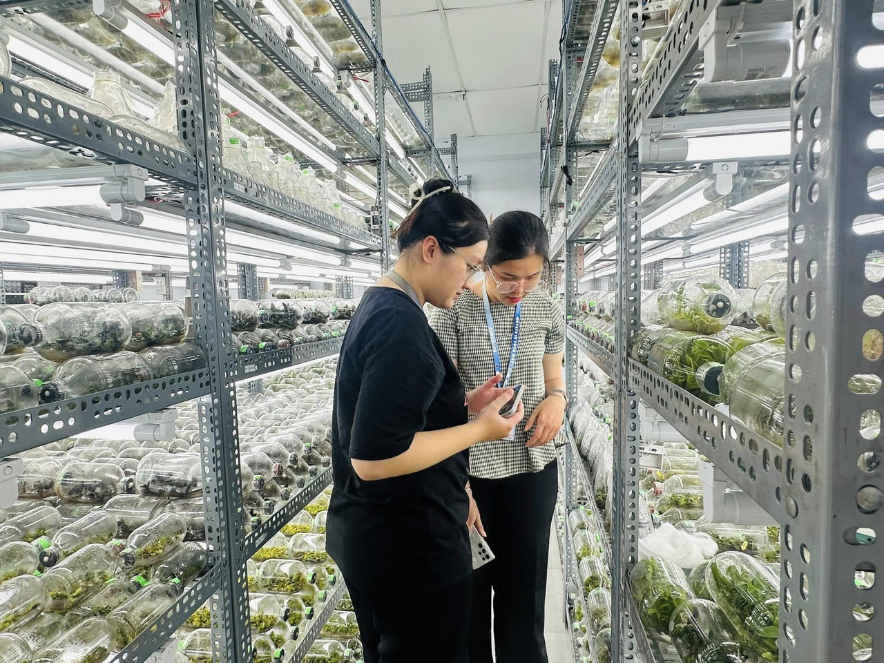 Xây bệ phóng công nghệ nông nghiệp để TP Hồ Chí Minh thành siêu đô thị xanh bền vững