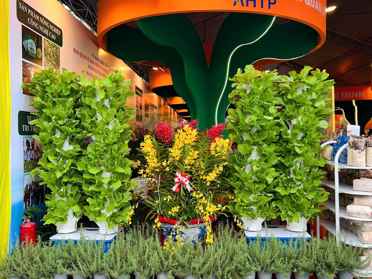 Giải quyết bài toán phát triển nông thôn bền vững thông qua việc thiết lập một vòng lặp hoàn hảo giữa sản xuất nông nghiệp, cơ chế tài chính xanh và chính sách chuyển đổi.