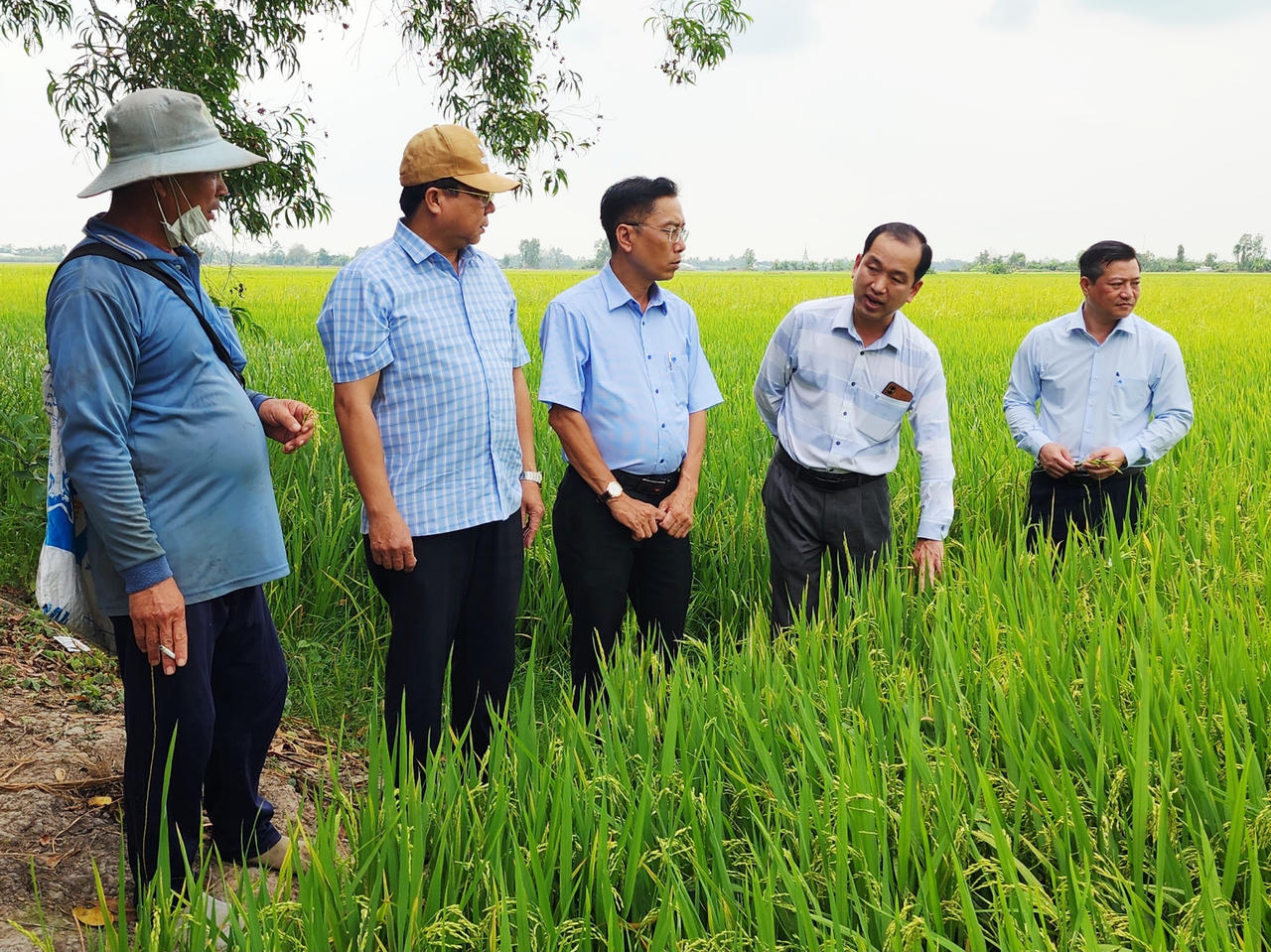 An Giang: Đảng bộ xã Tân Hiệp sơ kết tình hình thực hiện nhiệm vụ quý I năm 2026