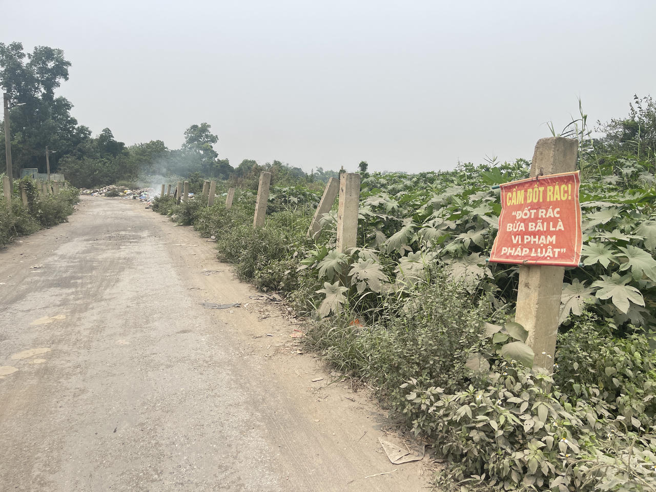 Đáng chú ý, tại một số điểm còn ghi nhận việc đốt rác, tiềm ẩn nguy cơ ô nhiễm không khí và ảnh hưởng đến sức khỏe người dân.