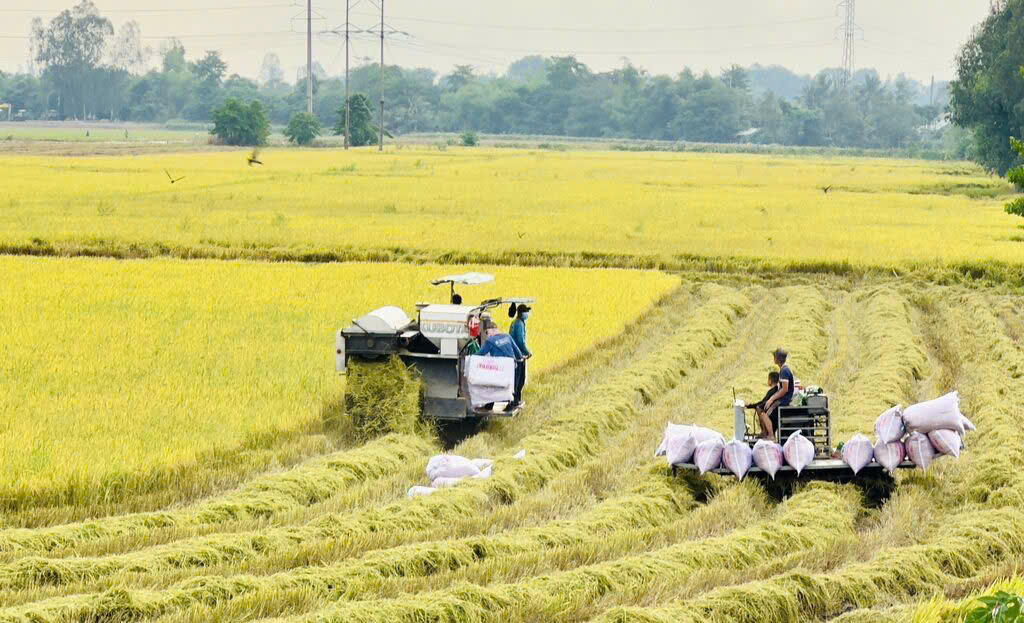 Lan tỏa sức mạnh dòng vốn ưu đãi ở An Giang