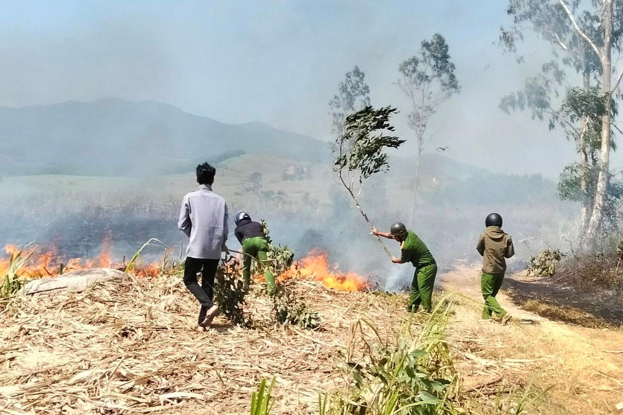 Nguy cơ cháy cánh đồng mía các tỉnh phía Đông tỉnh Đắk Lắk