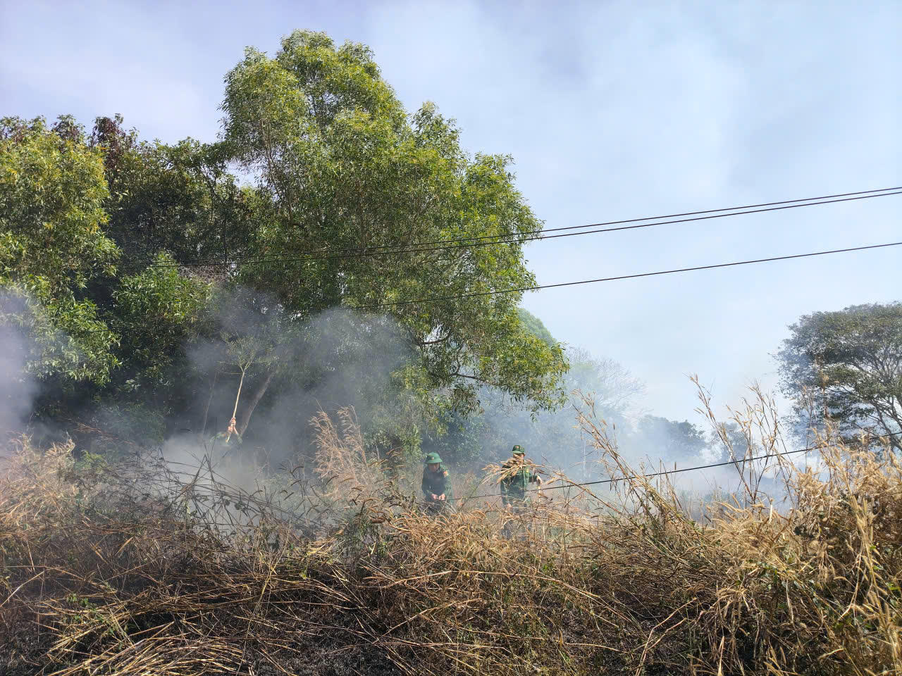 Lực lượng Đồn Biên phòng Phước Thuận tham gia chữa cháy rừng, góp phần bảo vệ tài nguyên và an toàn địa bàn.