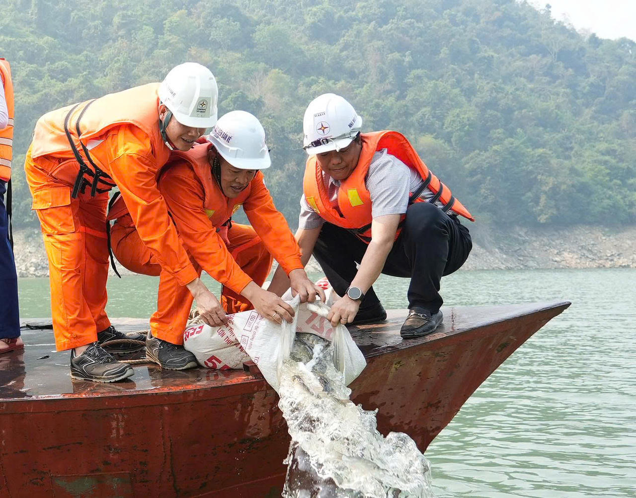 Công ty Thủy điện Bản Vẽ tổ chức trồng cây, thả cá giống và tặng quà cho học sinh xã Yên Na