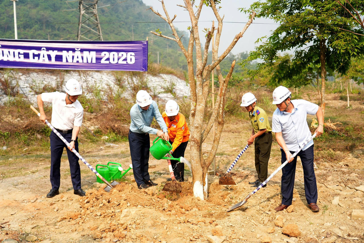 Nhiều cây xanh được trồng trong dịp này tại nhiều vị trí quanh nhà máy.