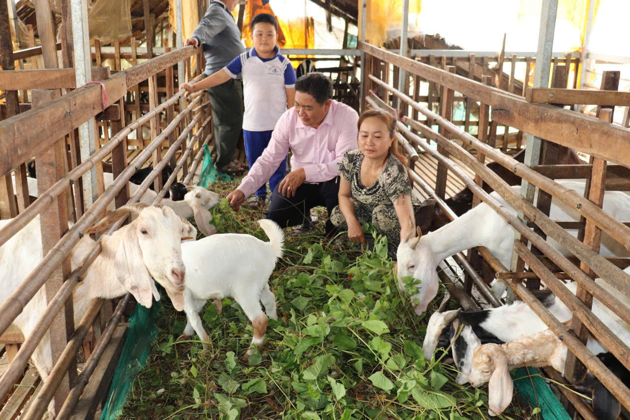 Lan tỏa sức mạnh dòng vốn ưu đãi ở An Giang