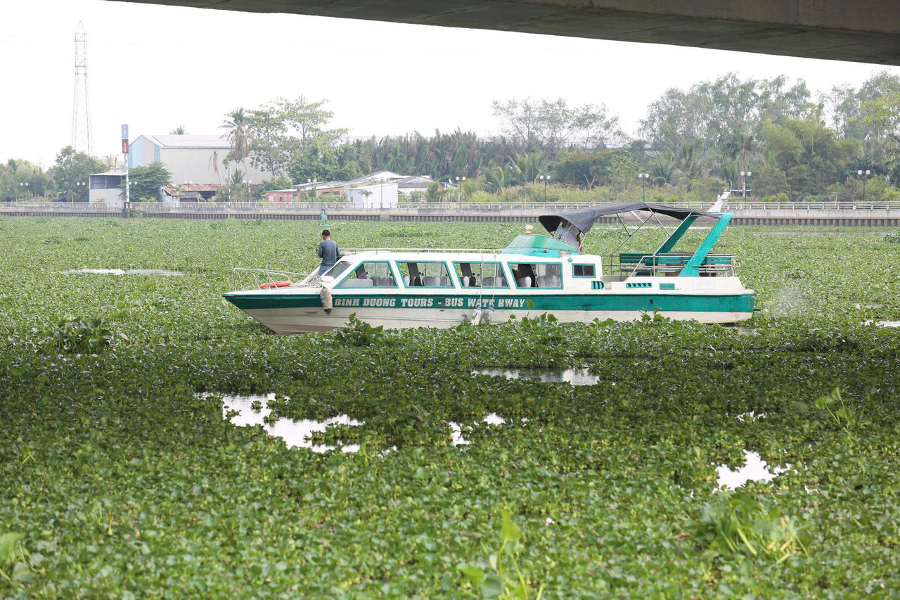 Lực lượng chức năng tỉnh Tây Ninh triển khai tìm kiếm người mất tích.