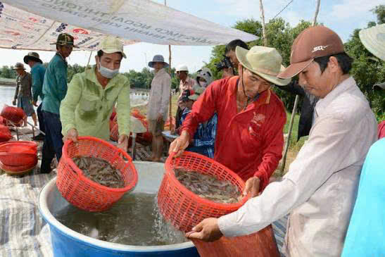 Lan tỏa sức mạnh dòng vốn ưu đãi ở An Giang