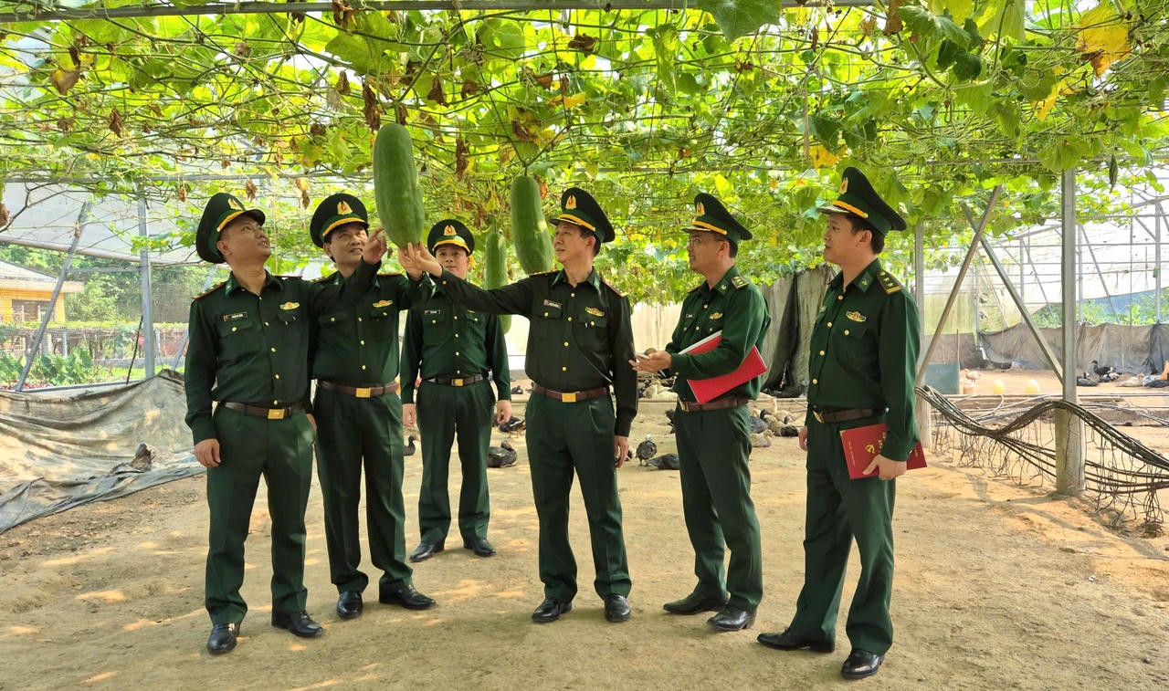 Đoàn công tác kiểm tra mô hình tăng gia sản xuất, bảo đảm hậu cần tại đơn vị.