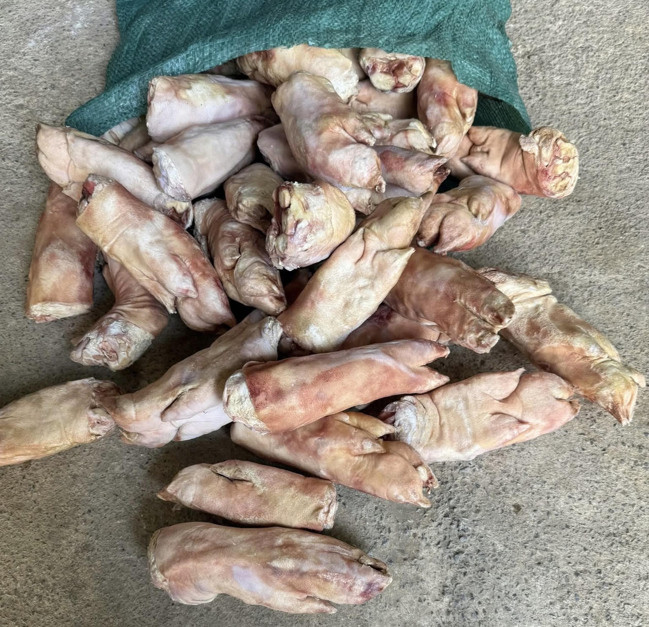 850kg chân lợn đông lạnh không có giấy tờ chứng minh nguồn gốc bị lực lượng BĐBP Cao Bằng bắt giữ. (Ảnh: BPCB)