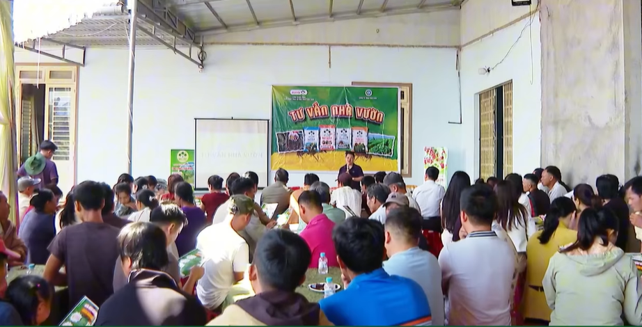 Supe Lâm Thao đồng hành cùng nông dân Tây Nguyên vượt 'bài toán mùa mưa'