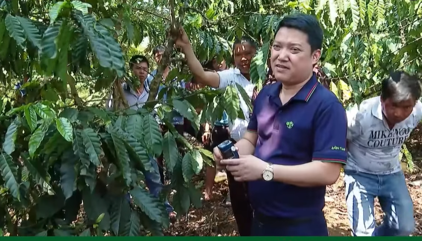 Các cán bộ kỹ thuật của Supe Lâm Thao đã trực tiếp có mặt tại vườn, hướng dẫn bà con từng thao tác cụ thể trong quá trình chăm sóc cây trồng. Ảnh: Supe Lâm Thao