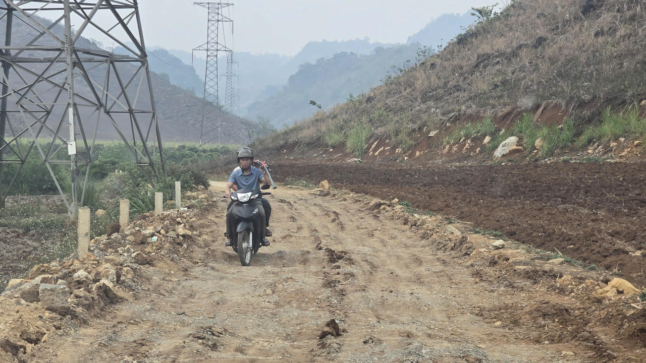 Đây cũng là tuyến đường chính đi lại của nhiều hộ dân.