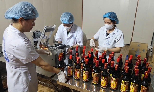 Nước mắm chay Tuấn Linh - sản phẩm của HTX sản xuất nấm sạch và kinh doanh nông nghiệp Tuấn Linh, xã Đông Trạch, đạt giải thưởng Mai An Tiêm năm 2026.