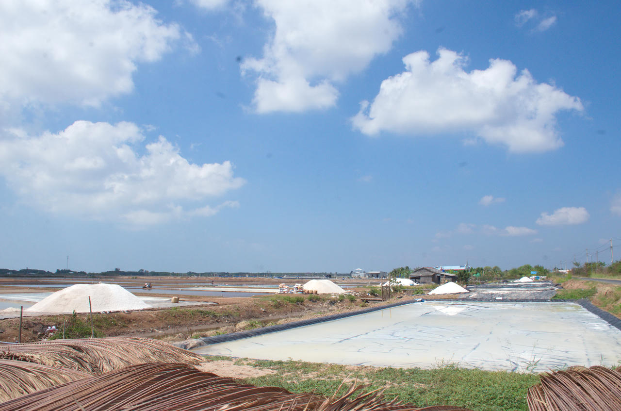 Xã Đông Hải xác định nghề muối không chỉ là sinh kế truyền thống mà còn là một trong những ngành kinh tế quan trọng của vùng ven biển.