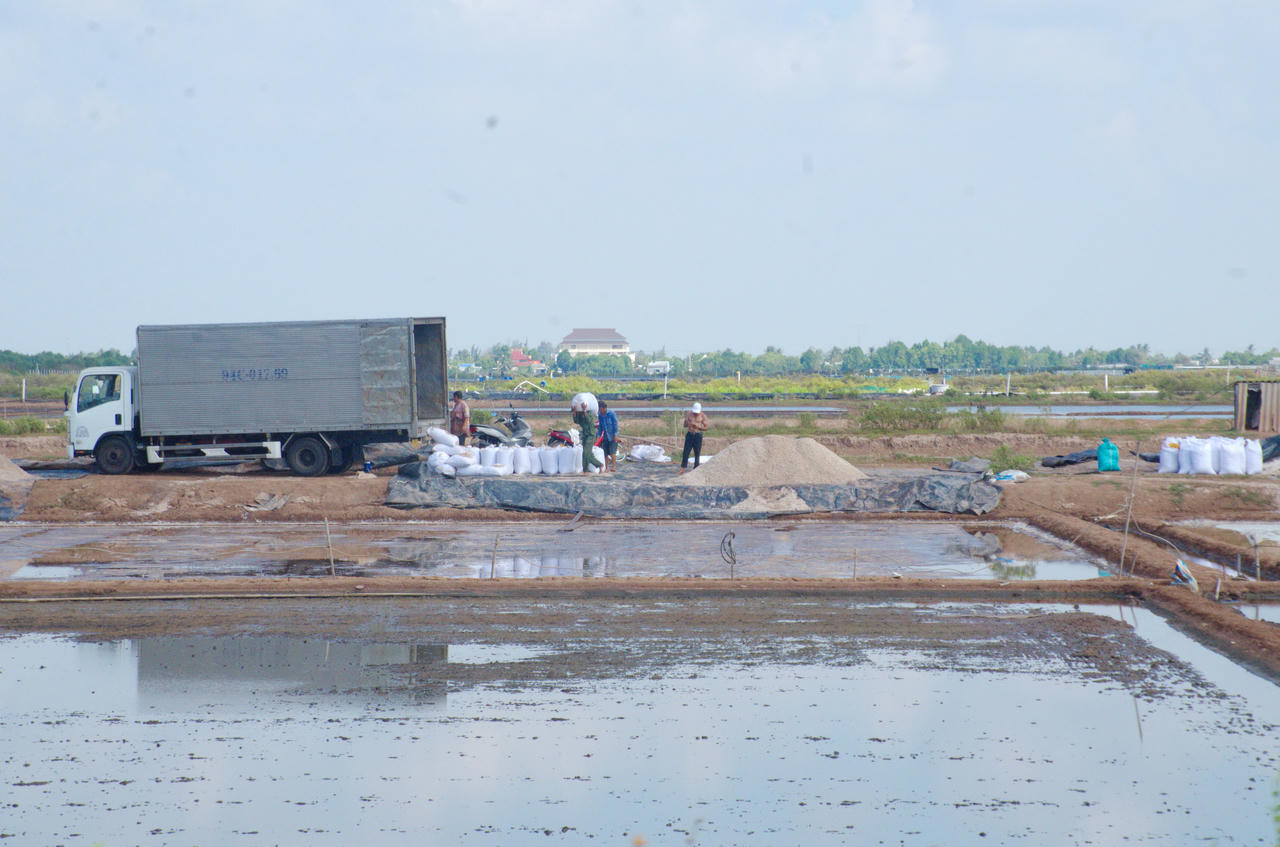 Ông Võ Văn Bửu - Chủ tịch UBND xã Đông Hải (thứ nhất, bên trái), cùng Văn phòng UBND xã và Phòng Kinh tế khảo sát và thu hoạch muối của diêm dân trên địa bàn ấp Bửu 2 và ấp Trường Điền.