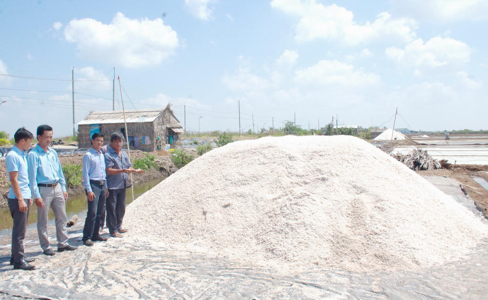 Xã Đông Hải (Cà Mau) tìm giải pháp ổn định diện tích, nâng sản lượng và giá trị nghề muối