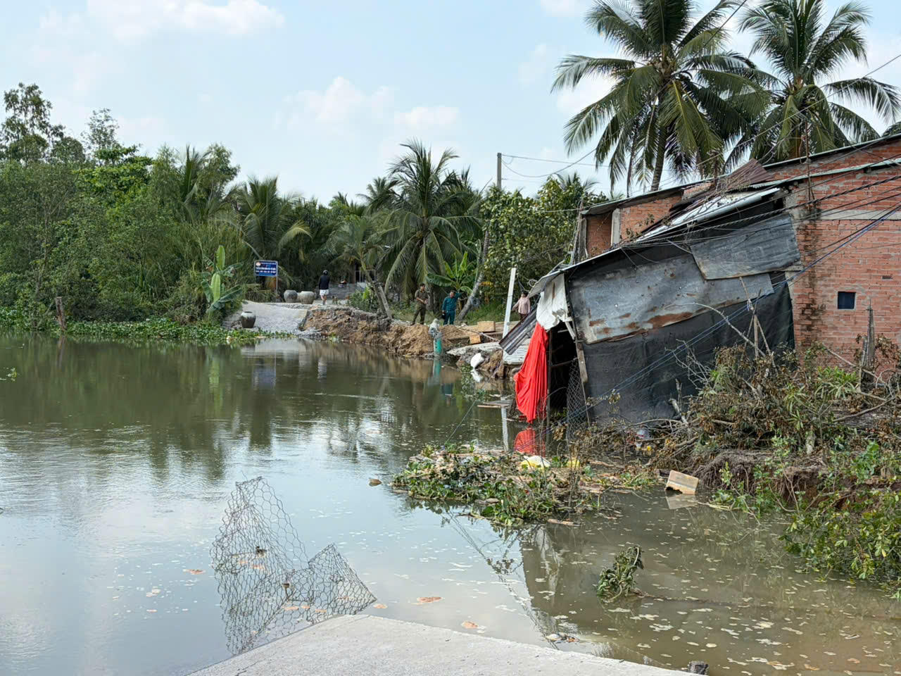 Đồng Tháp: Sạt lở nghiêm trọng trên tuyến Đông sông Phú An, nhiều hộ dân bị đe dọa