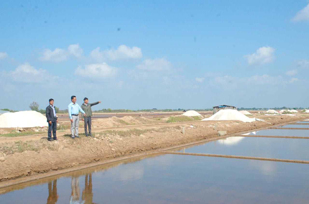 Xã Đông Hải (Cà Mau) tìm giải pháp ổn định diện tích, nâng sản lượng và giá trị nghề muối