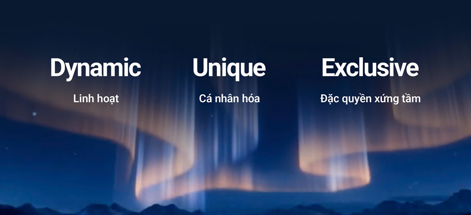 Định hình lại luật chơi quản trị gia sản: Khẩu vị tỷ phú đổi ngôi và thế cờ 'đòn bẩy' 500 tỷ đồng từ VIB