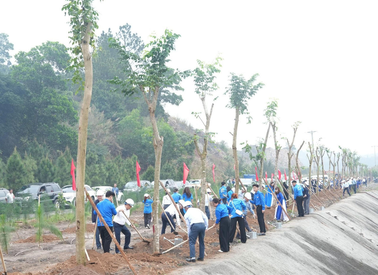 TKV phát động 'Tết trồng cây đời đời nhớ ơn Bác Hồ' Xuân Bính Ngọ 2026