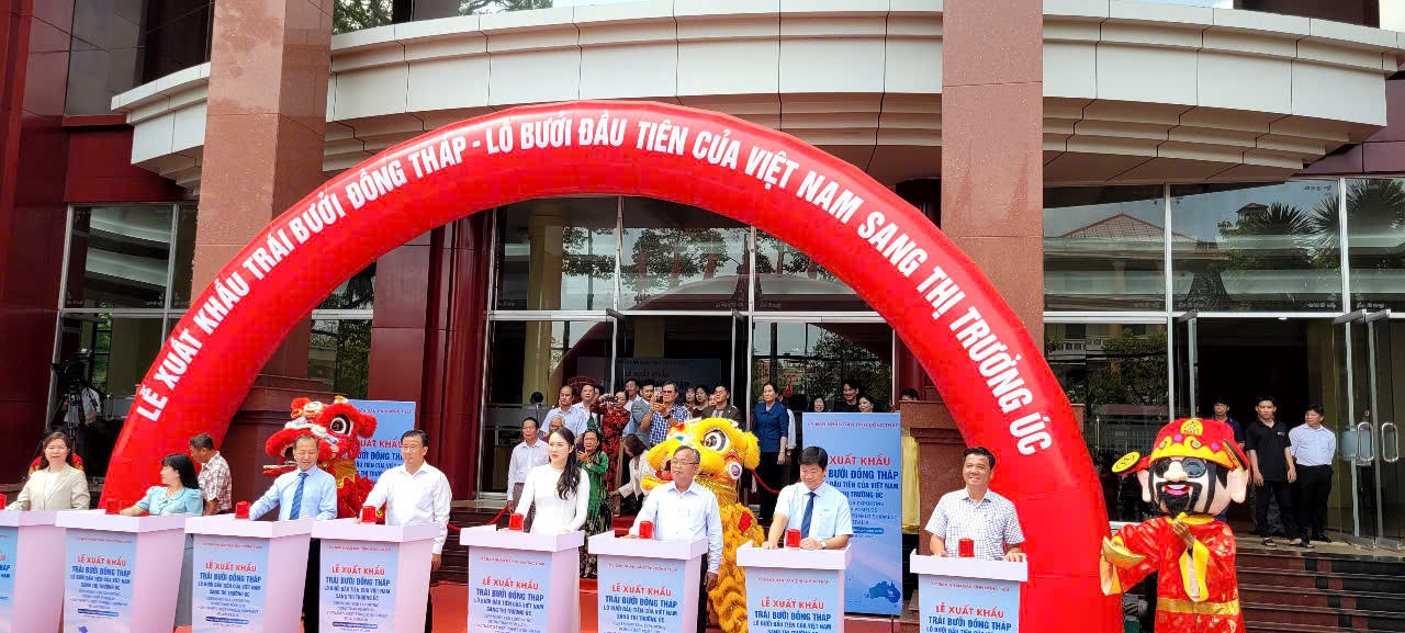 Lô hàng bưởi da xanh được xuất khẩu góp phần khẳng định thương hiệu nông sản Đồng Tháp trên bản đồ xuất khẩu.