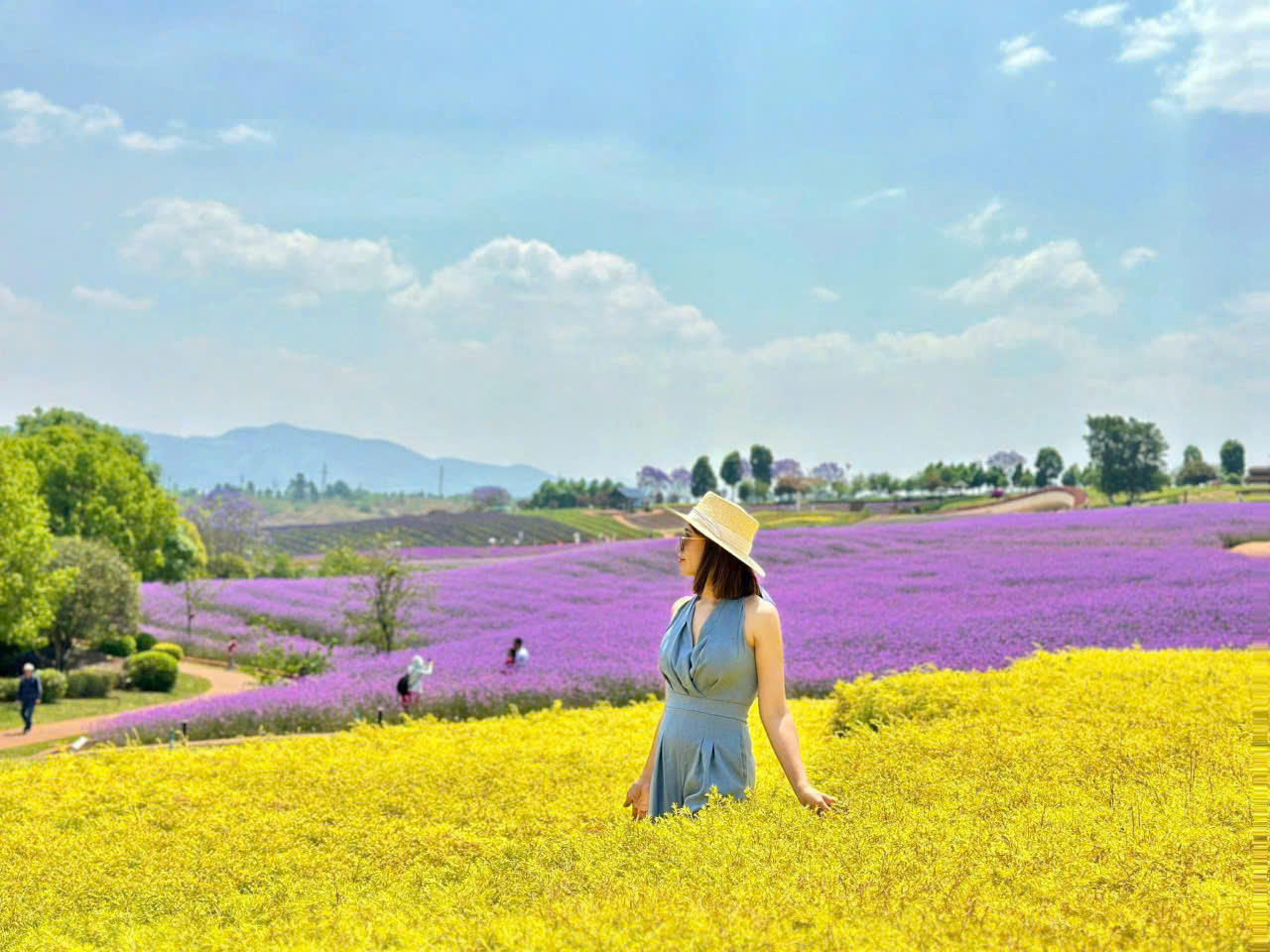 Xu hướng "đặt sớm để giữ giá tốt" đang trở nên phổ biến hơn so với các năm trước.