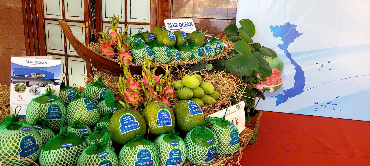 Đồng Tháp xuất khẩu lô bưởi da xanh đầu tiên sang thị trường Úc.