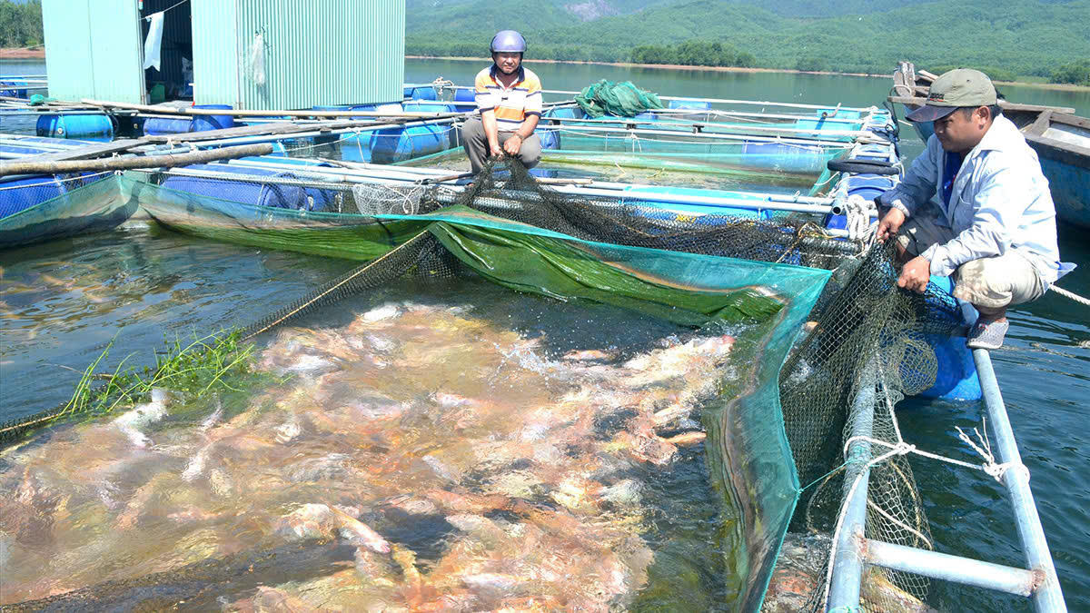 Giữ vững mạch chảy tín dụng chính sách toàn vùng duyên hải - cao nguyên Trung Bộ