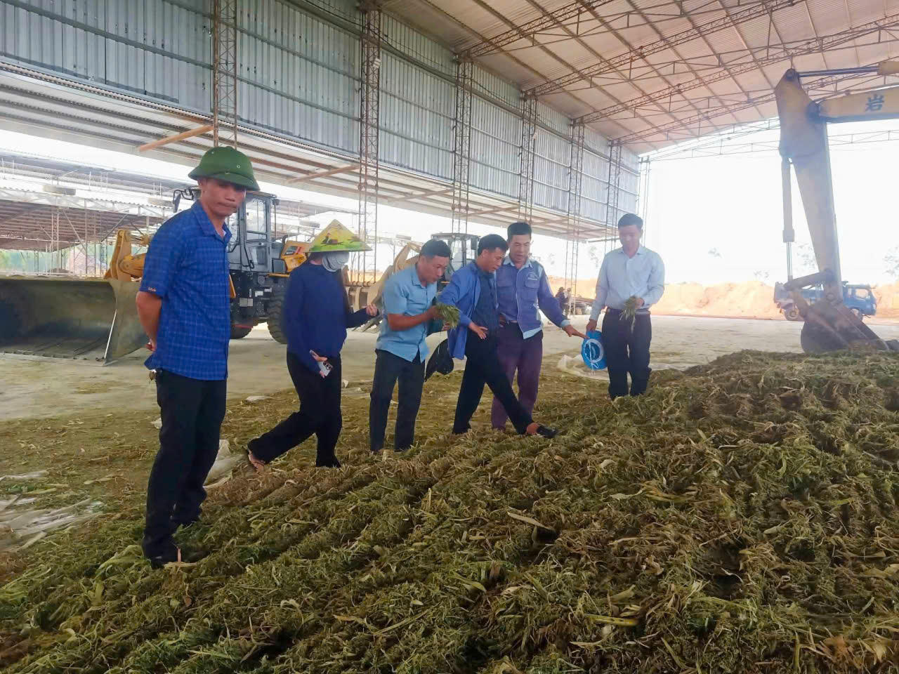 Chính quyền địa phương phối hợp doanh nghiệp kiểm tra, thu mua ngô sinh khối, góp phần ổn định đầu ra cho nông dân.