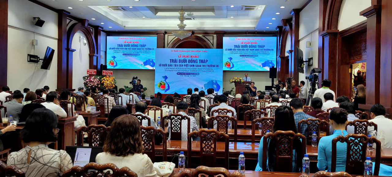 Lễ xuất khẩu trái bưởi Đồng Tháp.