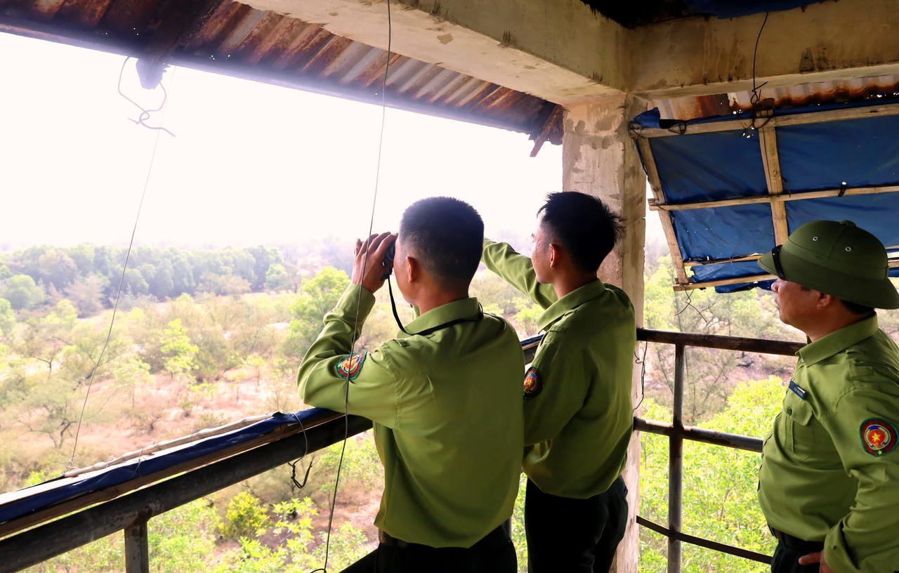 Quảng Trị ứng phó với cháy rừng mùa nắng nóng cực đoan: Phòng là chính, chữa cháy khẩn trương, kịp thời và triệt để