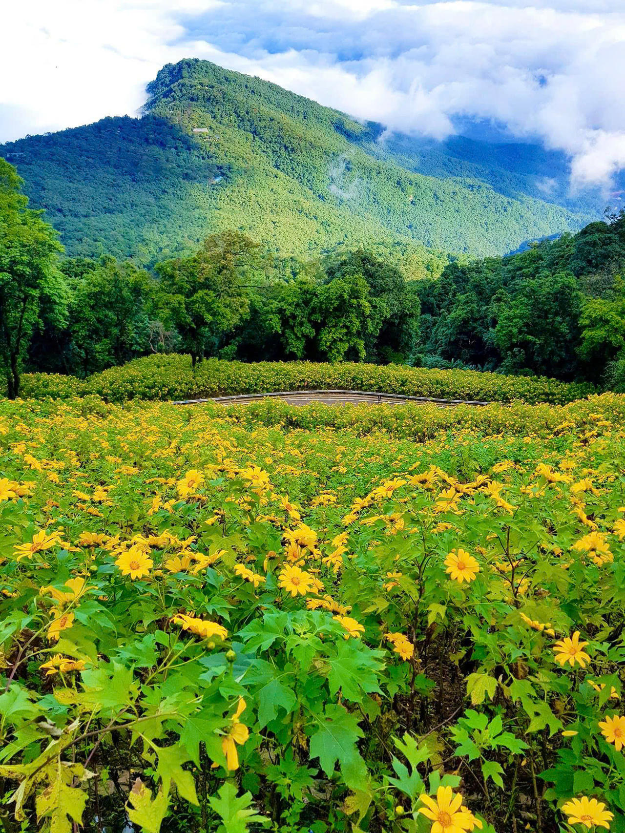 Đề xuất chuyển giao Vườn quốc gia Ba Vì về Hà Nội quản lý