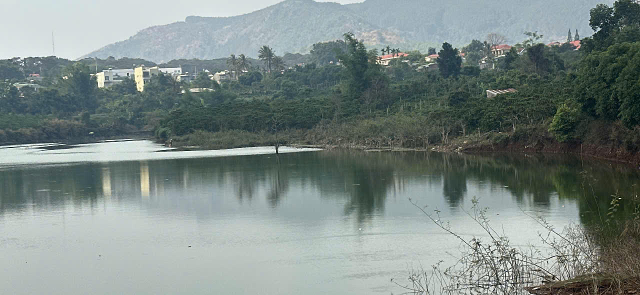 Một phần diện tích đất của lâm trường chè (cũ) tại địa phương được UBND xã Mang Yang chú trọng công tác quản lý.