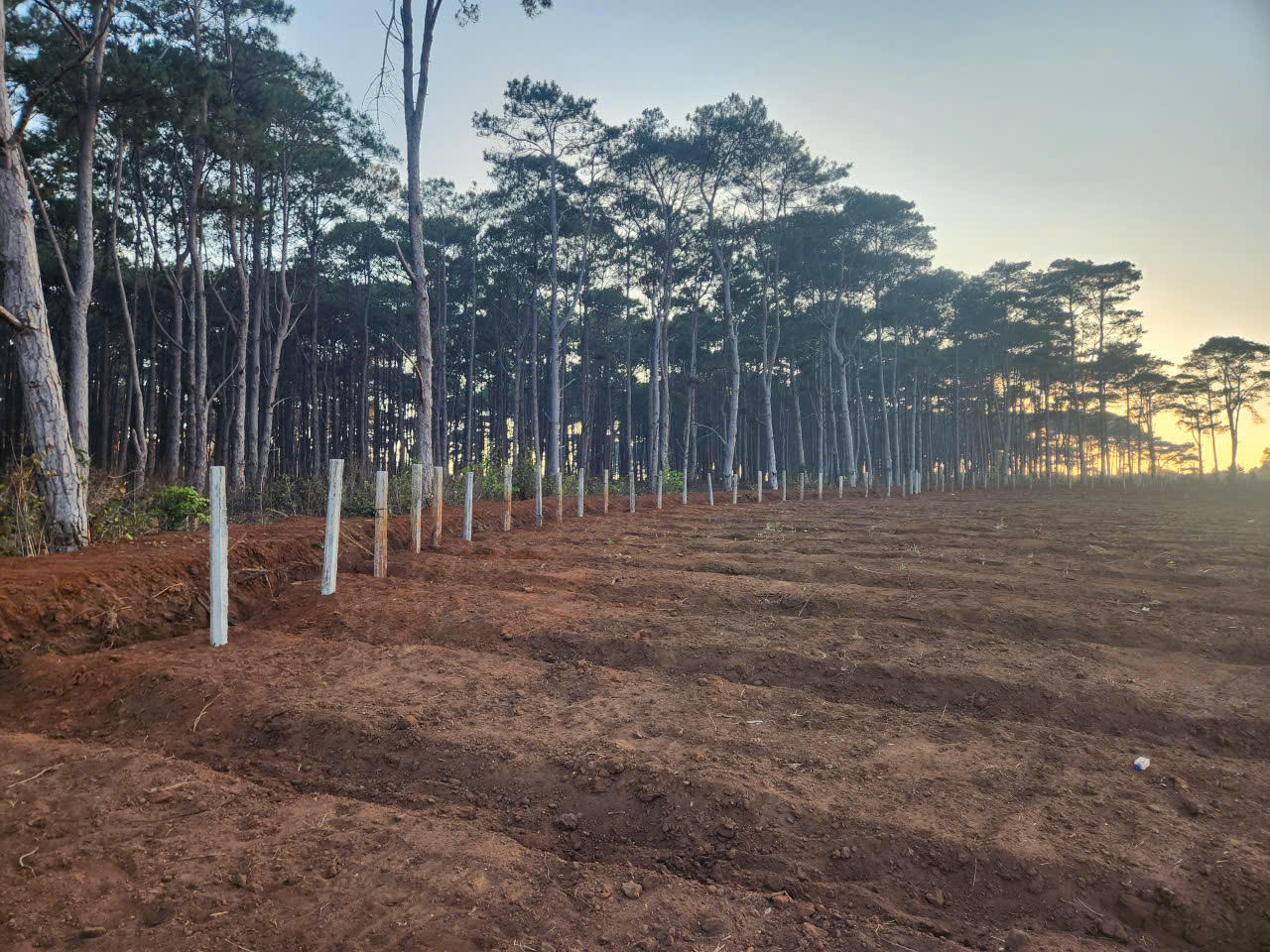 Một phần đất thuộc rừng phòng hộ Đăk Đoa bị các đối tượng sử dụng trái phép được UBND xã Mang Yang phát hiện xử lý kịp thời.