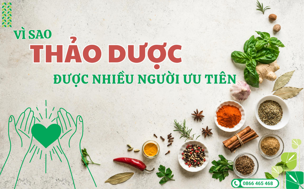 Thanh nhiệt bằng thảo dược - Xu hướng chăm sóc sức khỏe được ưa chuộng