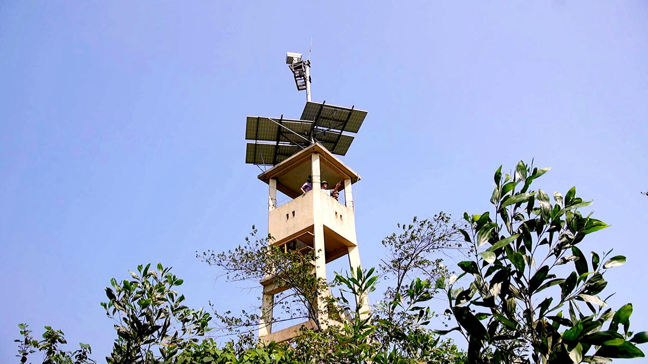 Hiện tỉnh này có 80 chòi canh lửa để chủ động với cháy rừng.