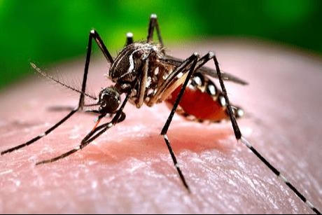 Cả nước ghi nhận gần 32.000 ca sốt xuất huyết